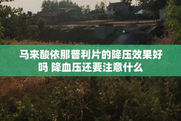 马来酸依那普利片的降压效果好吗 降血压还要注意什么