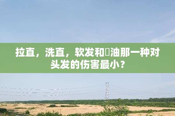 拉直，洗直，软发和焗油那一种对头发的伤害最小？