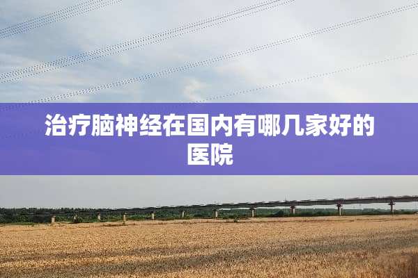 治疗脑神经在国内有哪几家好的医院