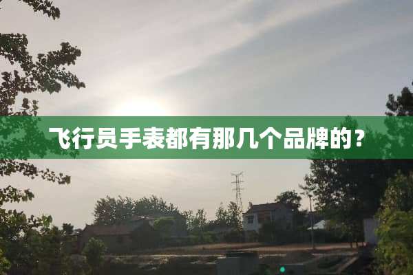 飞行员手表都有那几个品牌的？