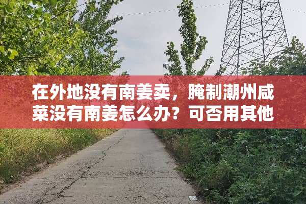 在外地没有南姜卖，腌制潮州咸菜没有南姜怎么办？可否用其他姜替代？