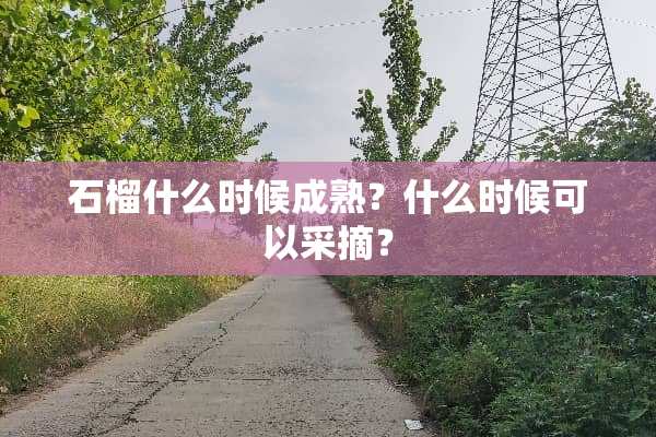 石榴什么时候成熟？什么时候可以采摘？