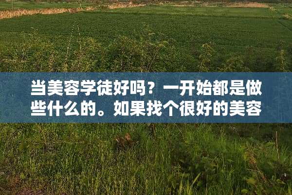 当美容学徒好吗？一开始都是做些什么的。如果找个很好的美容院学呢？