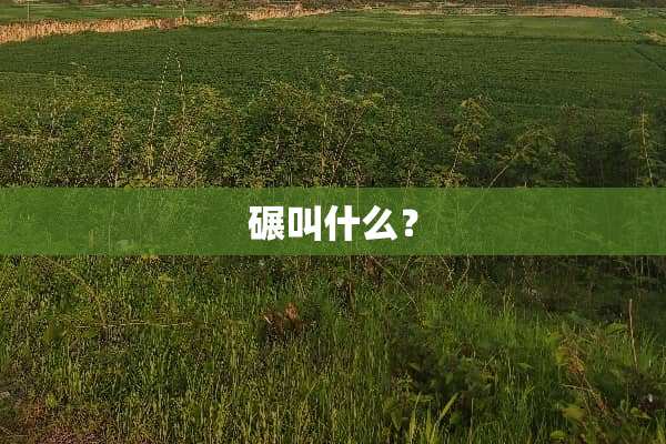 碾叫什么？