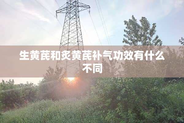 生黄芪和炙黄芪补气功效有什么不同