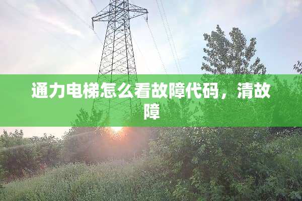 通力电梯怎么看故障代码，清故障