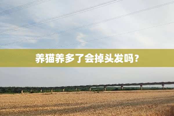 养猫养多了会掉头发吗？