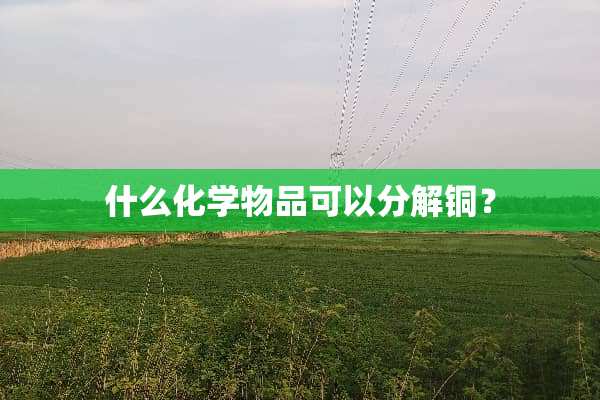 什么化学物品可以分解铜？
