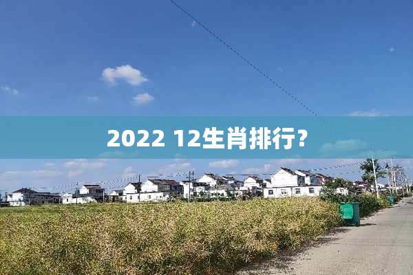 2022 12生肖排行？