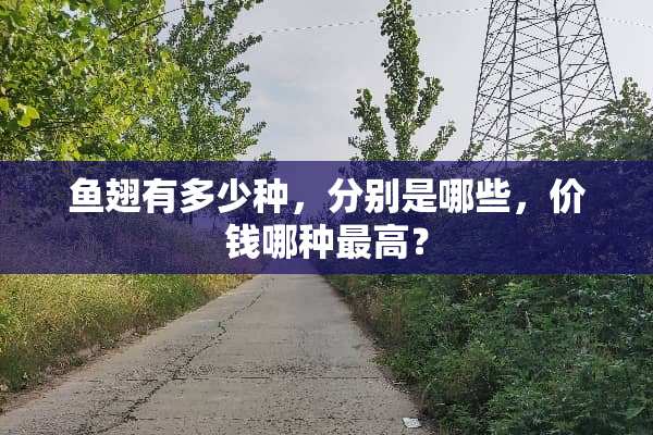 鱼翅有多少种，分别是哪些，价钱哪种最高？