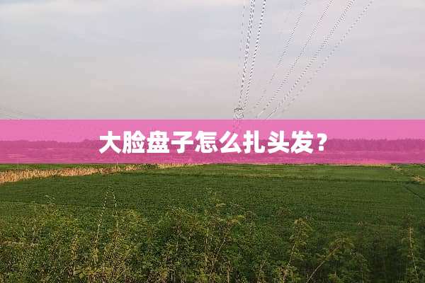 大脸盘子怎么扎头发？