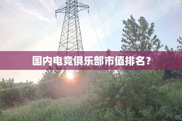 国内电竞俱乐部市值排名？
