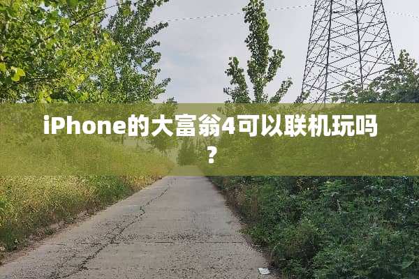 iPhone的大富翁4可以联机玩吗？