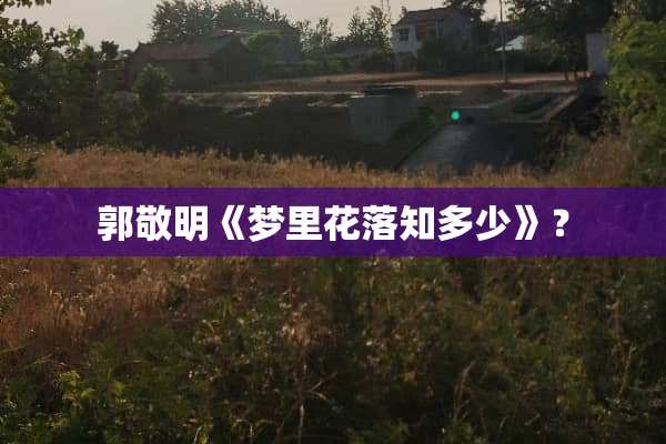 郭敬明《梦里花落知多少》？