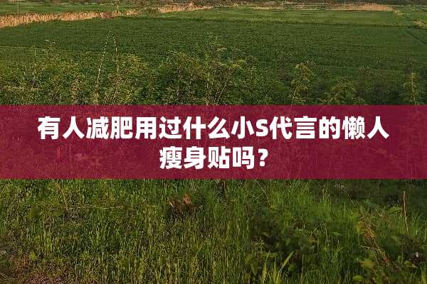 有人减肥用过什么小S代言的懒人瘦身贴吗？