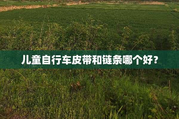 儿童自行车皮带和链条哪个好？