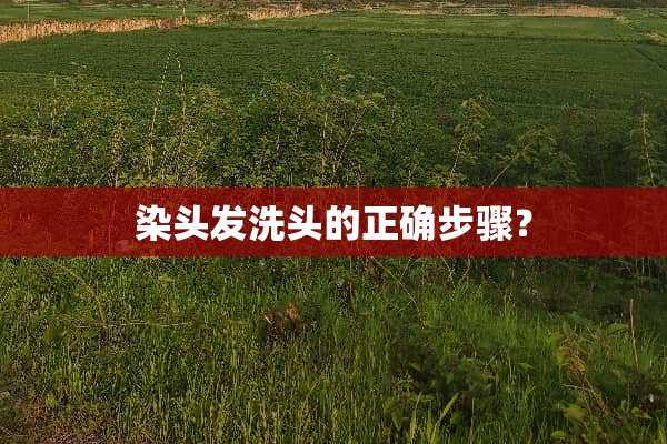 染头发洗头的正确步骤？