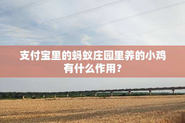 支付宝里的蚂蚁庄园里养的小鸡有什么作用？