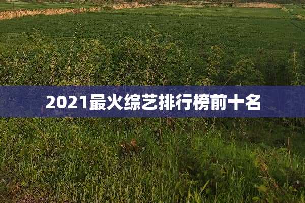 2021最火综艺排行榜前十名