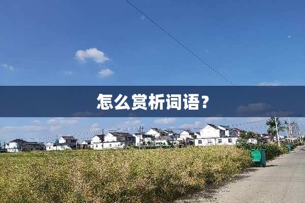 怎么赏析词语？
