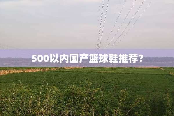 500以内国产篮球鞋推荐？