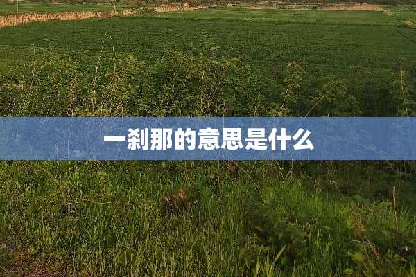 一刹那的意思是什么