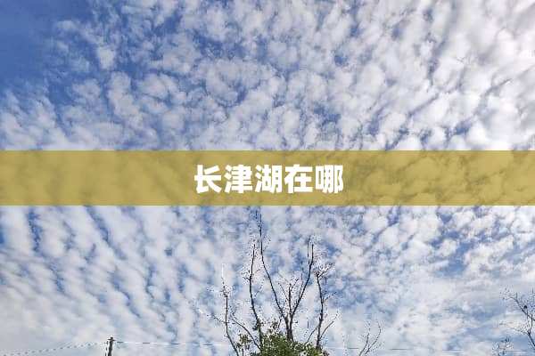 长津湖在哪