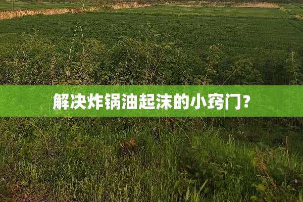 解决炸锅油起沫的小窍门？