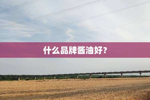 什么品牌酱油好？