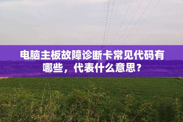 电脑主板故障诊断卡常见代码有哪些，代表什么意思？