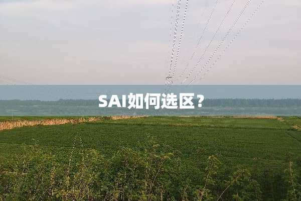 SAI如何选区？