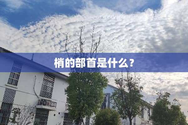 梢的部首是什么？