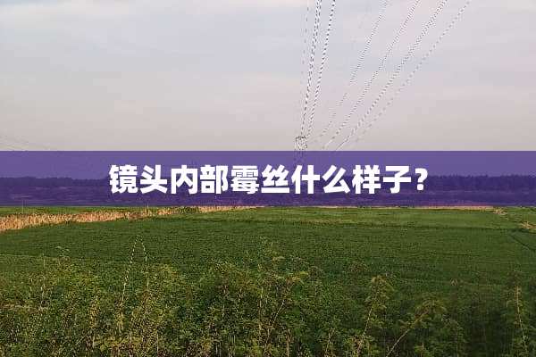 镜头内部霉丝什么样子？