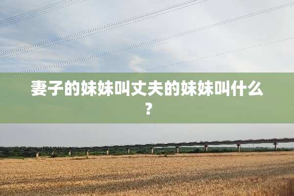妻子的妹妹叫丈夫的妹妹叫什么？