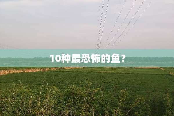 10种最恐怖的鱼？