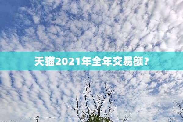 天猫2021年全年交易额？
