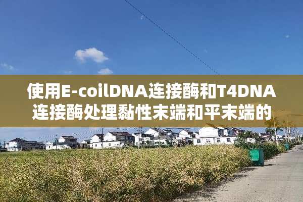 使用E-coilDNA连接酶和T4DNA连接酶处理黏性末端和平末端的原因是甚么？