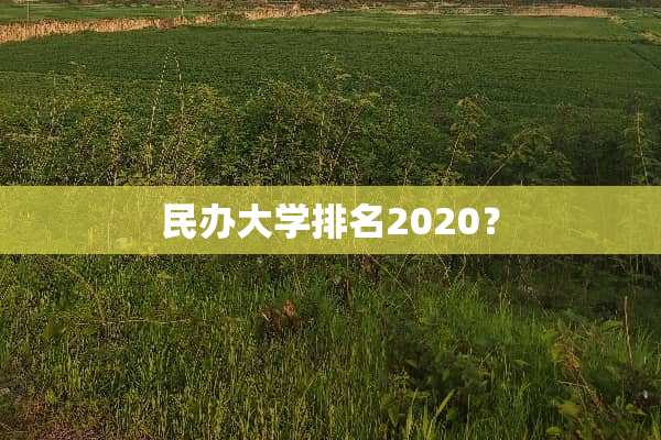 民办大学排名2020？