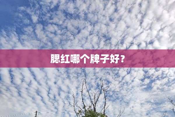 腮红哪个牌子好？