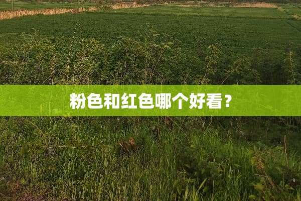 粉色和红色哪个好看？