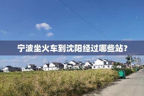 宁波坐火车到沈阳经过哪些站？