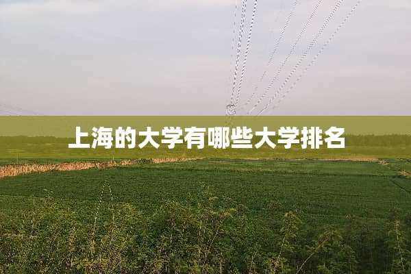 上海的大学有哪些大学排名