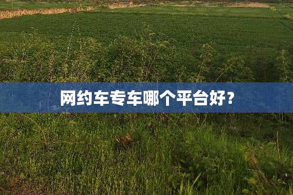 网约车专车哪个平台好？
