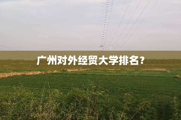 广州对外经贸大学排名？