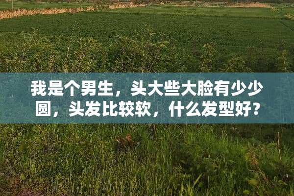 我是个男生，头大些大脸有少少圆，头发比较软，什么发型好？