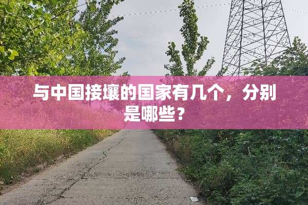 与中国接壤的国家有几个，分别是哪些？