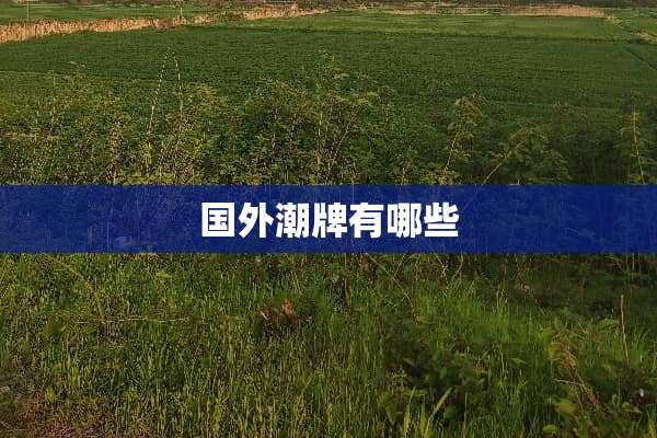 国外潮牌有哪些