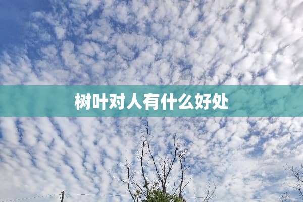 树叶对人有什么好处