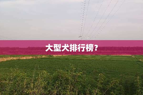 大型犬排行榜？