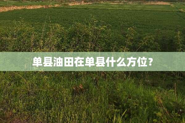 单县油田在单县什么方位？